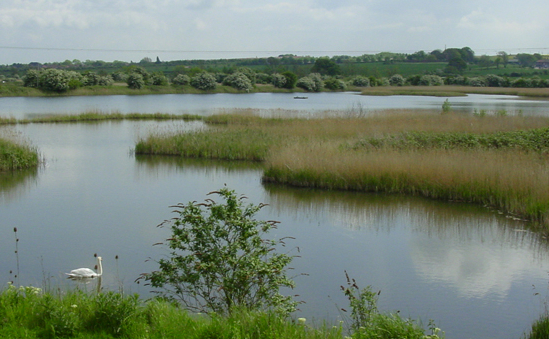 Lincolnshire Wildlife Trust | Wildlife Conservation - Environment ...