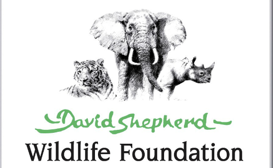 The David Shepherd Wildlife Foundation | Endangered Animals & Wildlife ...