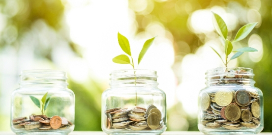 Best Sustainable Funds